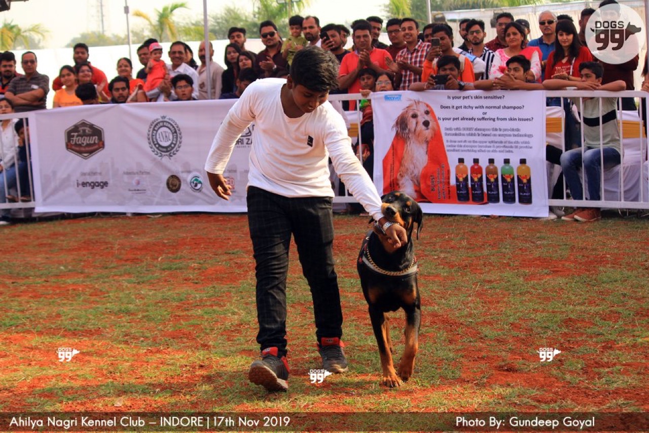 Furventures - Pet Adventures & Events - Photo 23